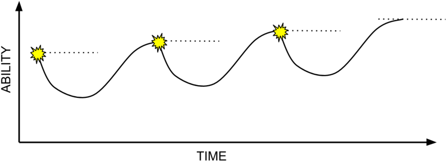 Good Stress%2frecovery Adaptation Cycle - Sunflower (1000x405), Png Download