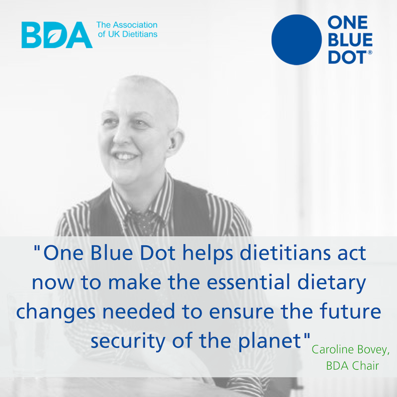 Blue Dot - Seton Healthcare Family (800x800), Png Download