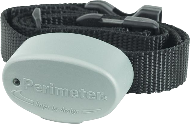 Comfort Contact Additional Collar - Perimeter Dog Collar (800x486), Png Download