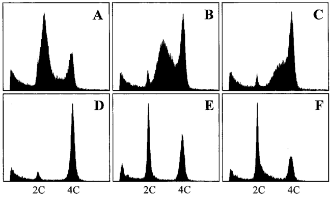 Histograms Of Nuclear Dna Content In Vicia Faba Root - Silhouette (850x407), Png Download