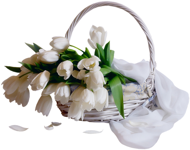 Flores Lindas Png E Gifs - رب اشرح لي ويسر لي امري واحلل عقدة من لساني (640x510), Png Download