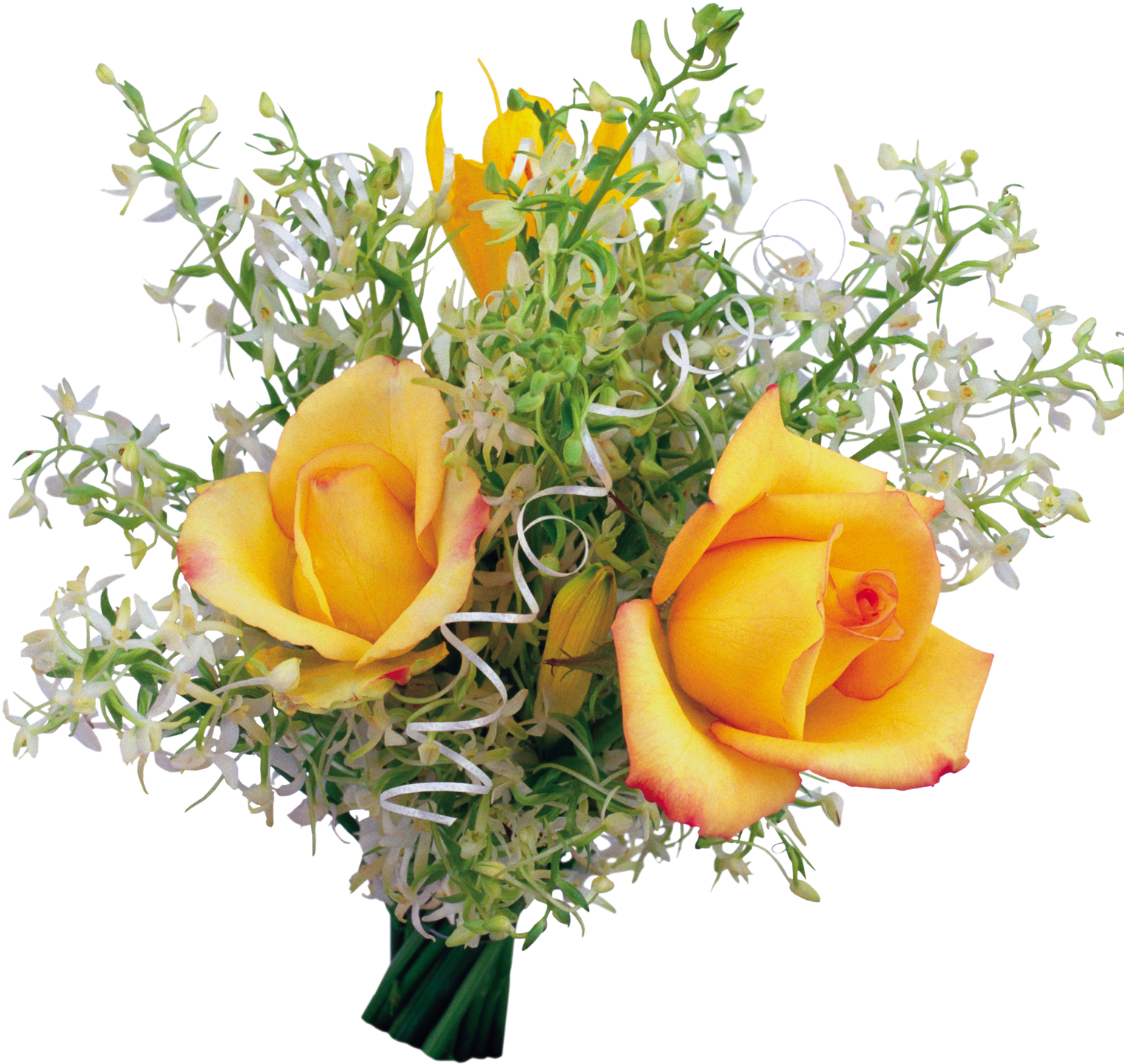 Flores Animadas Png Imagui - Życzenia Imieninowe Dla Andrzeja (1600x1600), Png Download