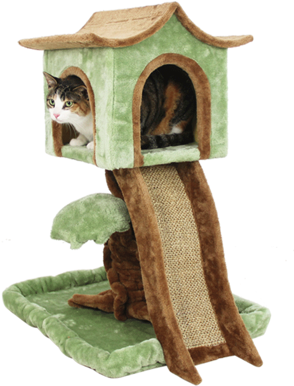 Aerial House Type Cat Climbing Frame Cat Jumping Cat - Domestic Short-haired Cat (800x800), Png Download