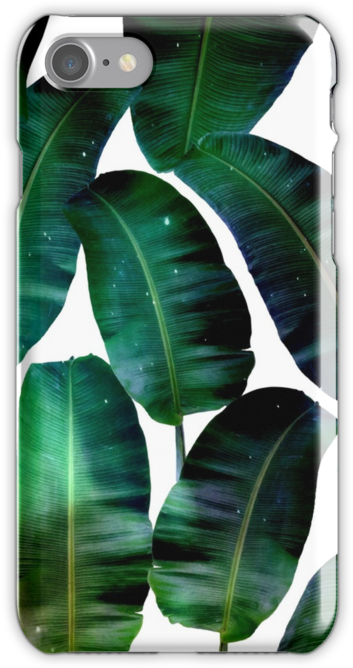 Cosmic Banana Leaves - Banana Leaf (500x667), Png Download