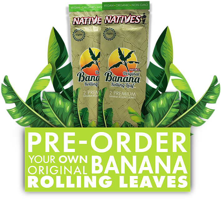 Preorder3 - Yuzu (738x666), Png Download