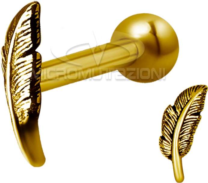 Gold Steel One Side Internally Threaded Micro Barbell - Illustration (750x750), Png Download