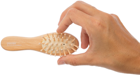 Wooden Hair Brush, Anyah - Lacrosse Stick (570x740), Png Download
