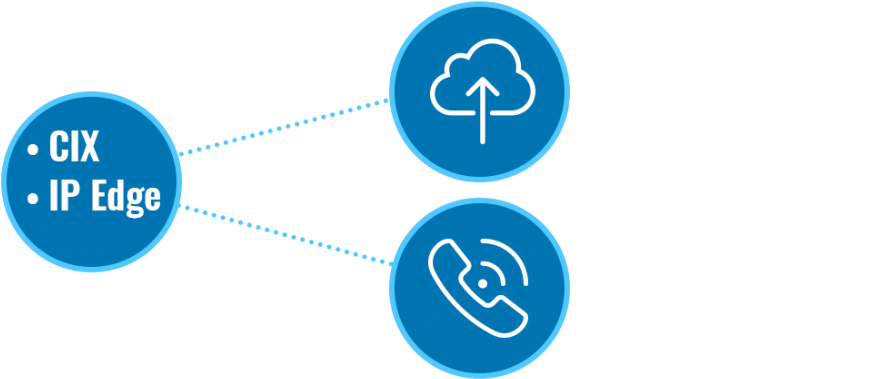 Future-proof Your Technology - Circle (1024x411), Png Download