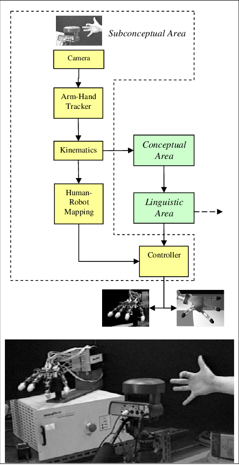 On The Estimation Of The Fingertip Positions - Diagram (487x948), Png Download