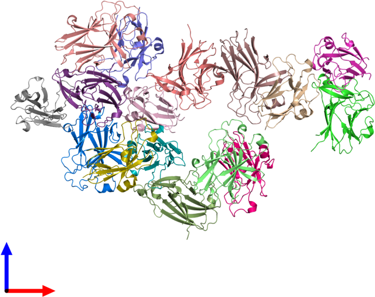 Pdb 3hei Coloured By Chain And Viewed From The Front - Illustration (800x800), Png Download