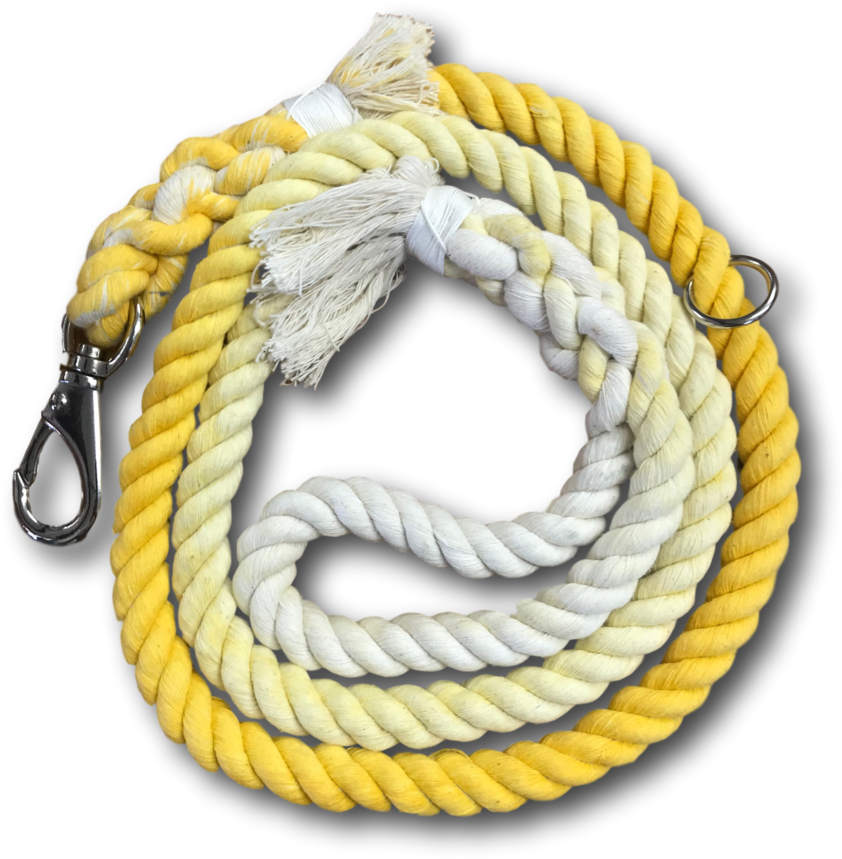 Bracelet (900x997), Png Download
