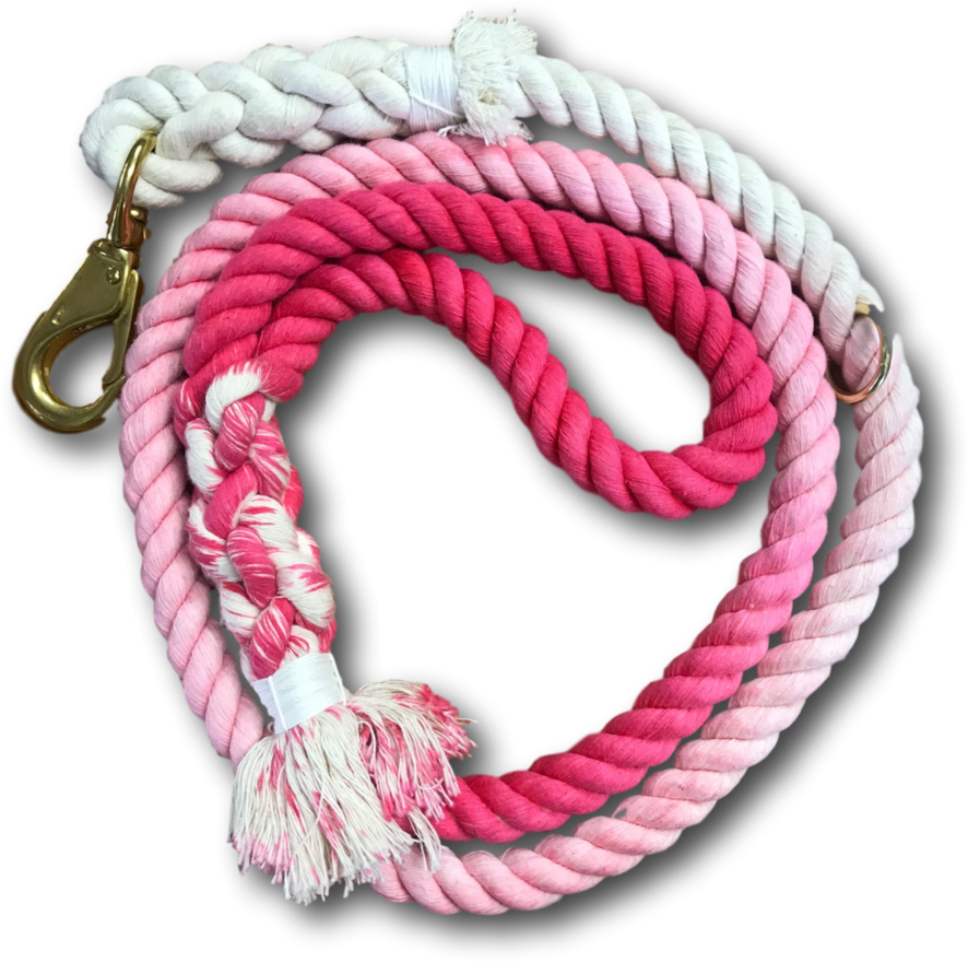 Tack & Twine Designer Dog Lead Candy Ombre - Bracelet (900x1200), Png Download