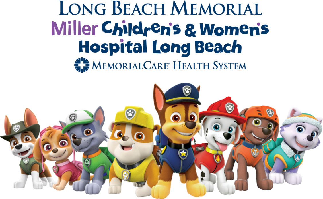 Miller Children's - Paw Patrol All The Pups (1126x696), Png Download