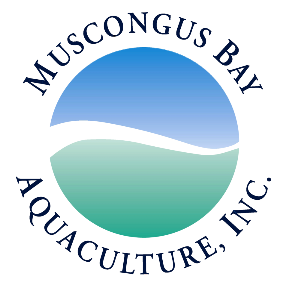 Muscongus Circle Logo - My Vision In Karnataka 2025 (1000x1000), Png Download