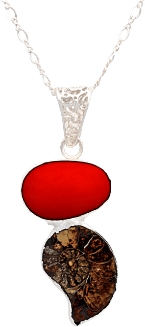 Coral Ammonite Fossil Sterling Silver Necklace - Locket (800x800), Png Download