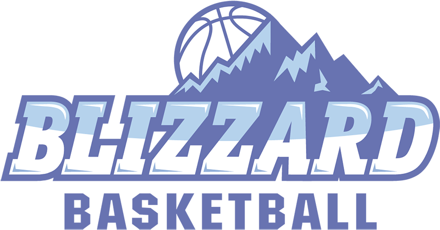Noshadowblizz - - Blizzards Logo Basketball (900x470), Png Download