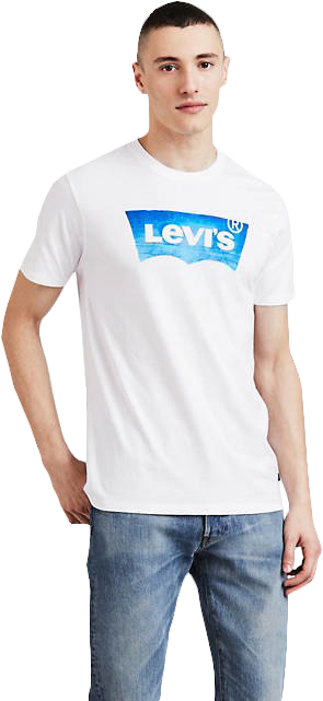 Levis Strauss Skateboarding Watermark T-shirt Graphic - T Shirt Levis (820x658), Png Download