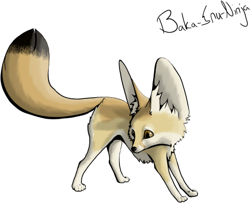 Fennec Fox Clipart Google - Fennec Fox Drawing Easy (640x480), Png Download