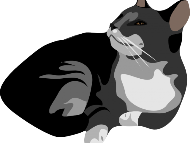 Cat Clipart Vector - Transparent Background Cat Png Clipart (640x480), Png Download