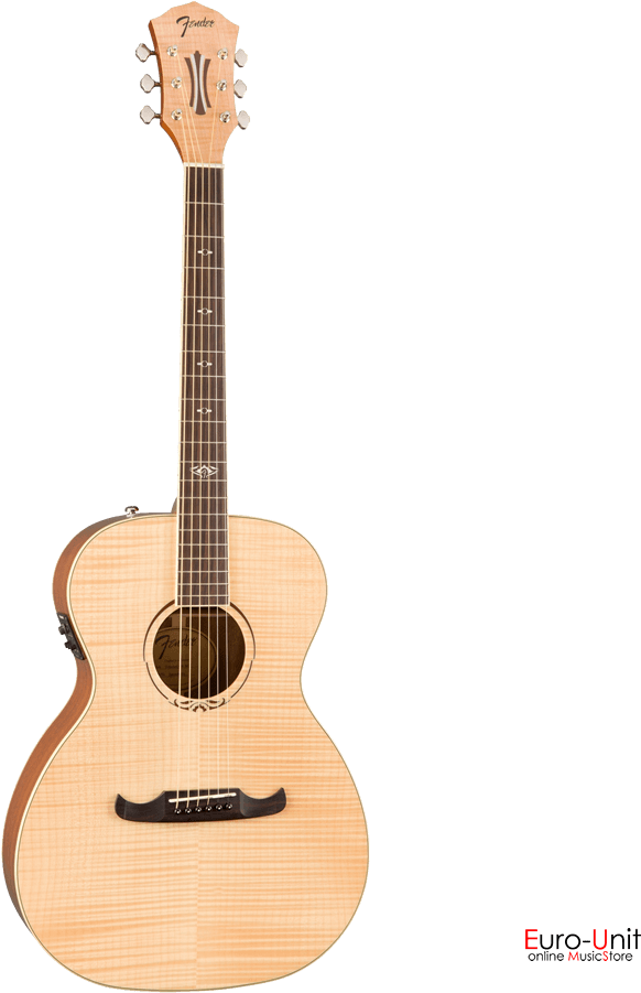 Seagull Artist (900x900), Png Download