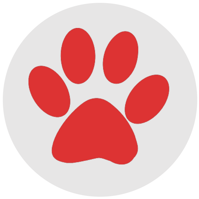 Puppy Adoption Certificate Paw Patrol - Cat Paw Print Svg (695x697), Png Download