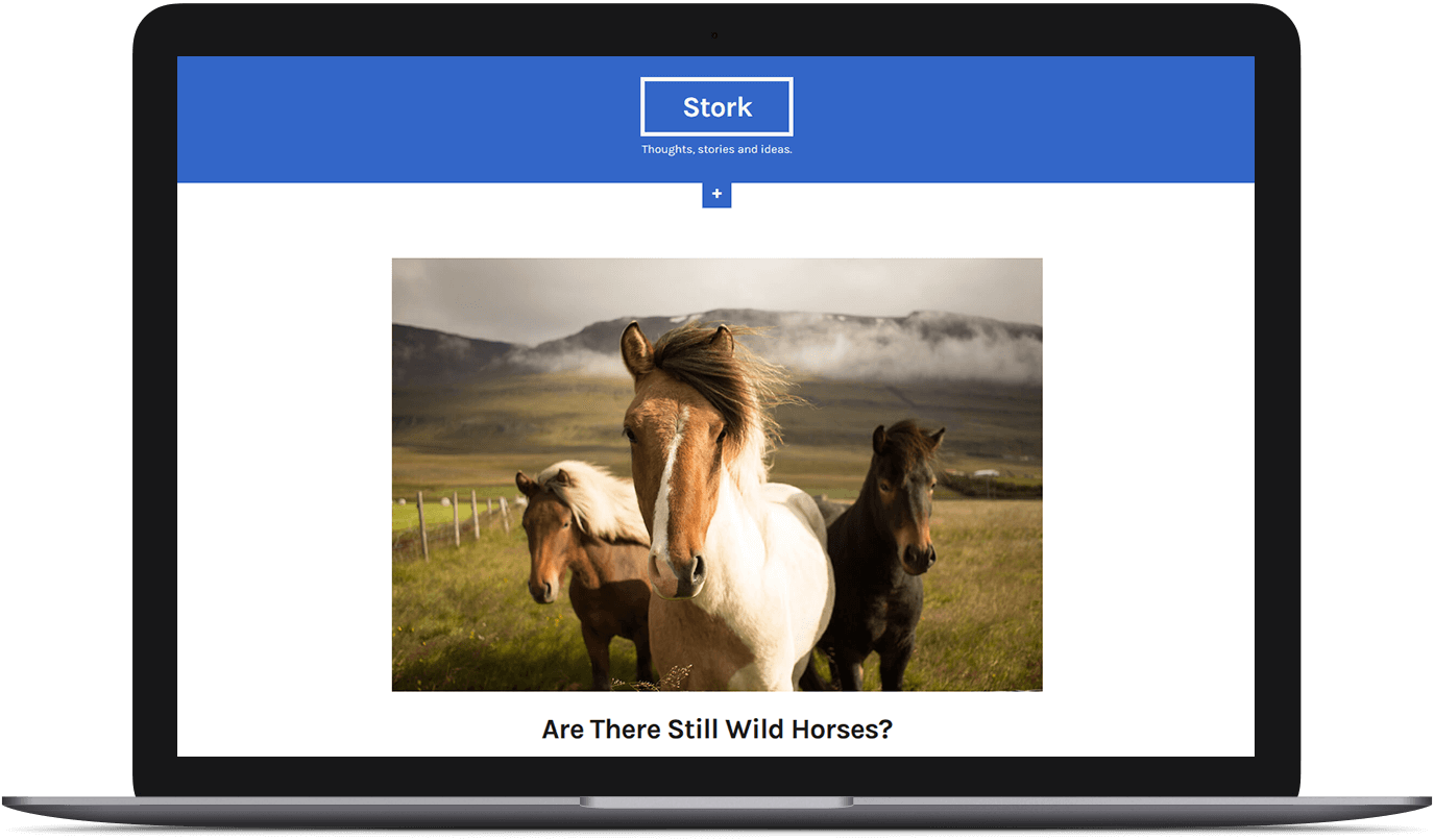 Beautiful Pictures Of Wild Animals (1375x806), Png Download