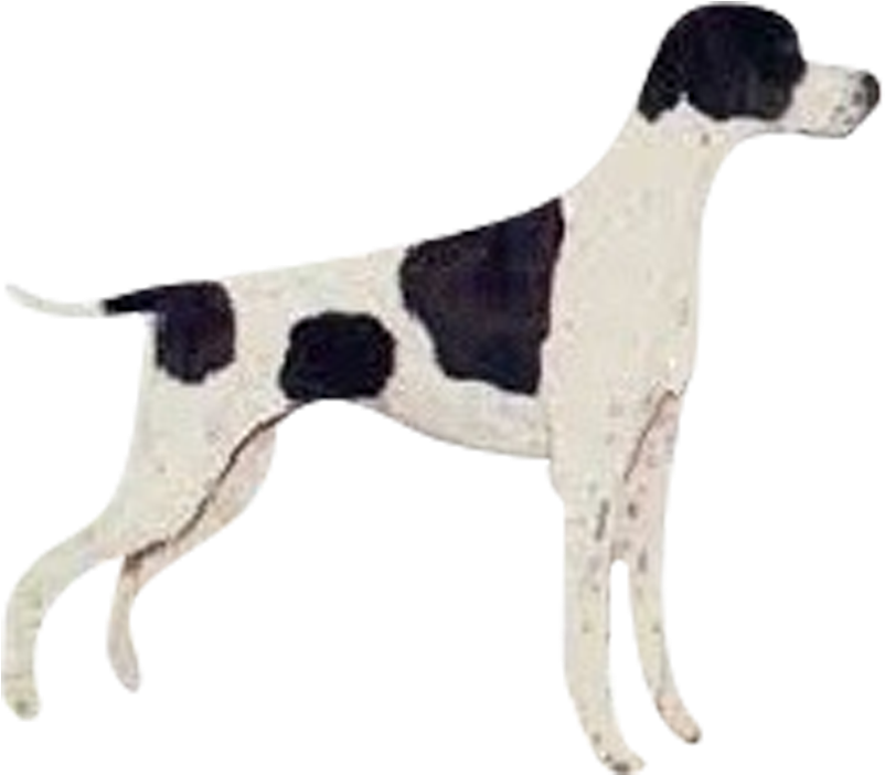 Jaula Transportadora Gato Perro Pequeño Económica Ofertón - Perros Pointer (900x900), Png Download