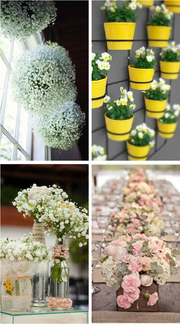 Flor Ok - Jardim Vertical (640x1136), Png Download