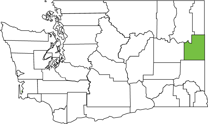 Quick Links - Washington State White Png (720x540), Png Download