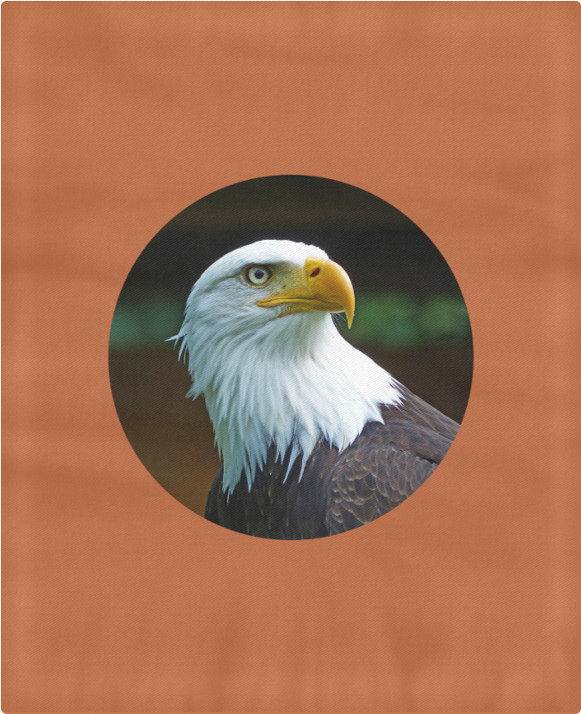 Bald Eagle Head 004 03 Rd Duvet Cover 86"x70" - Bald Eagle (1000x1000), Png Download