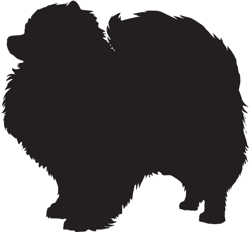 Back Design - Dog Shih Tzu Silhouette (700x700), Png Download