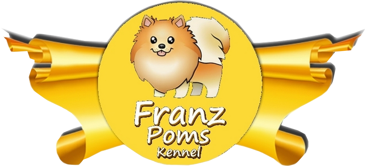 Franz Logo Fotos - Pomeranian (1200x600), Png Download