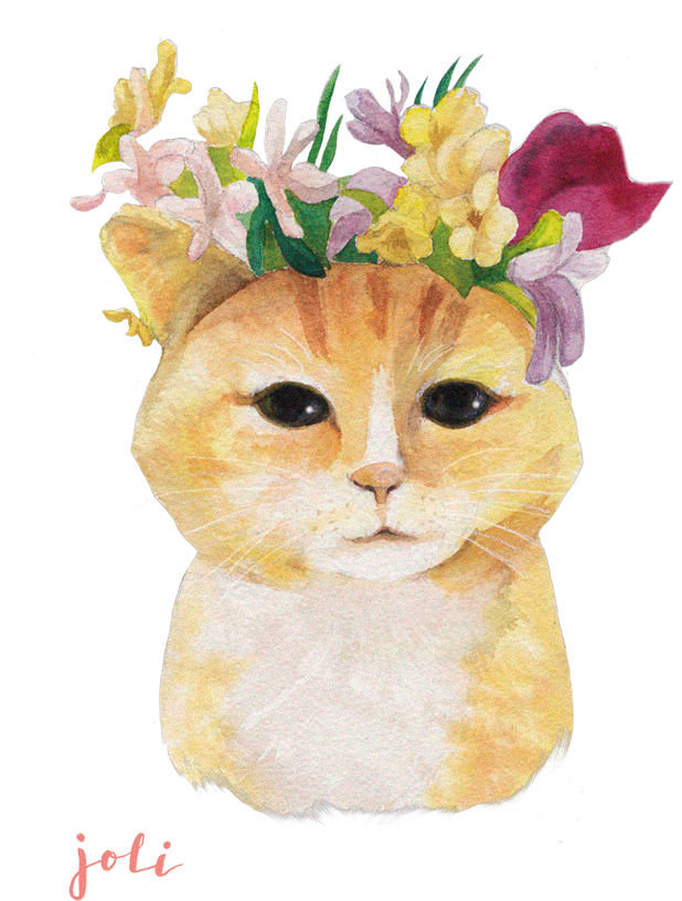 Verso Rhinoshield Mod Nx Personnalisé [the Joli Cute - Kitten (2000x2000), Png Download