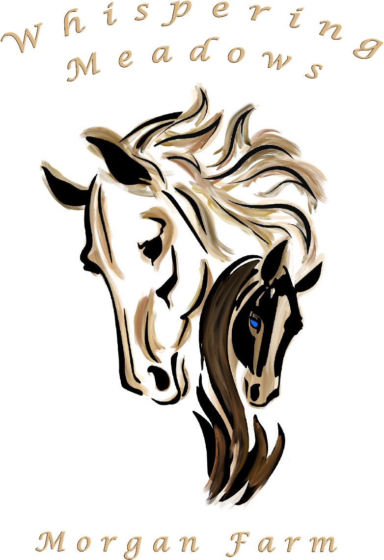 Whispering Meadows Morgan Farm - Illustration (1080x1237), Png Download