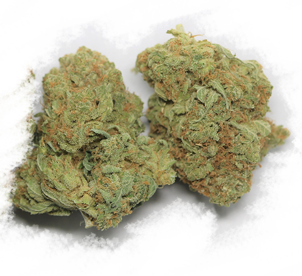 Canada's Best & Cheapest High Quality Bulk Medicinal - Military Uniform (600x548), Png Download