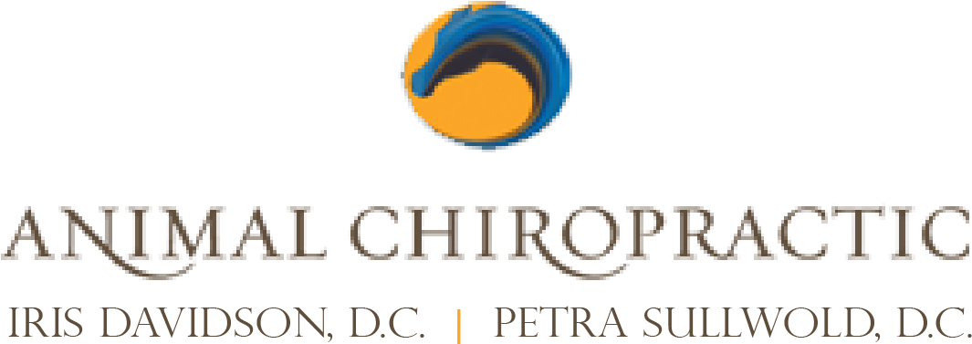 Petra Teaches Clinic At Wagon Wheel Ranch - Mount Royal University (1106x468), Png Download