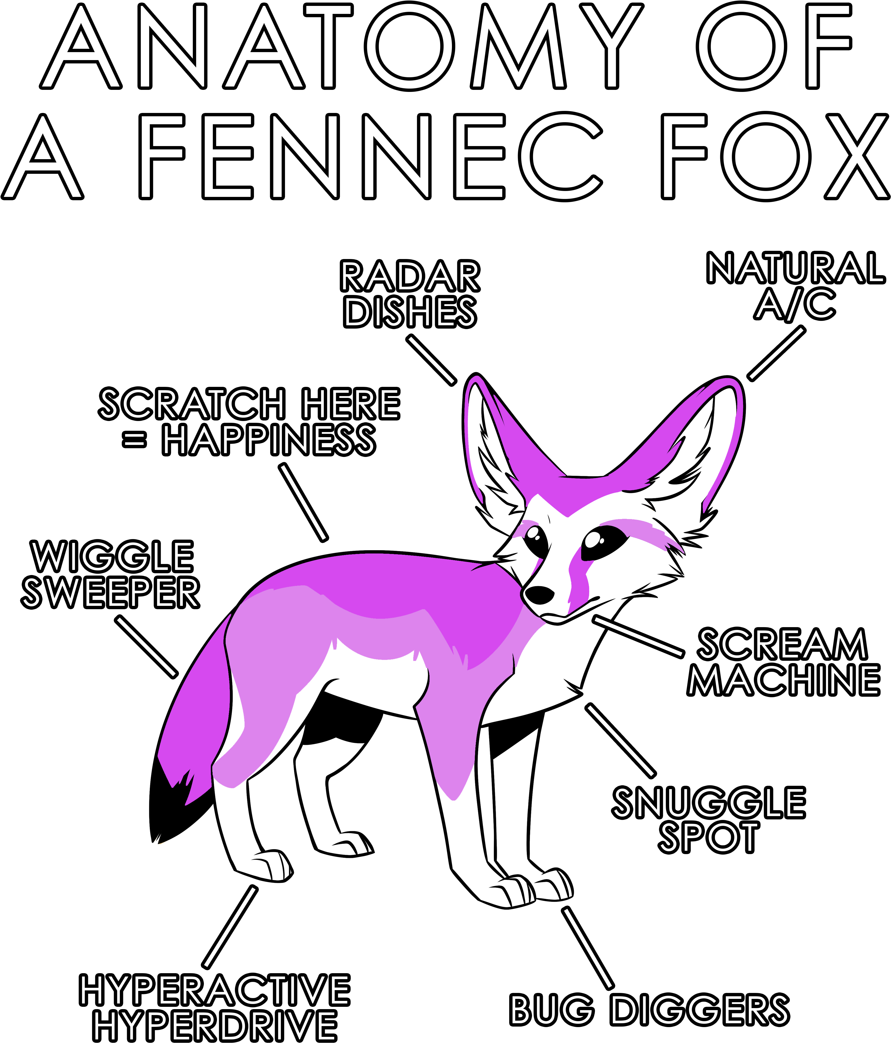 Anatomy Of A Fennec - Anatomy Of A Fennec Fox (3630x4950), Png Download