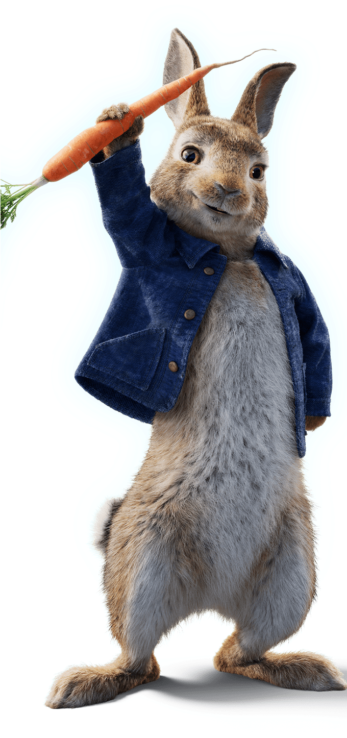 Punxsutawney Phil (679x1465), Png Download
