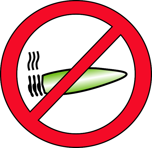 Weed - No Smoking Weed Png (640x620), Png Download