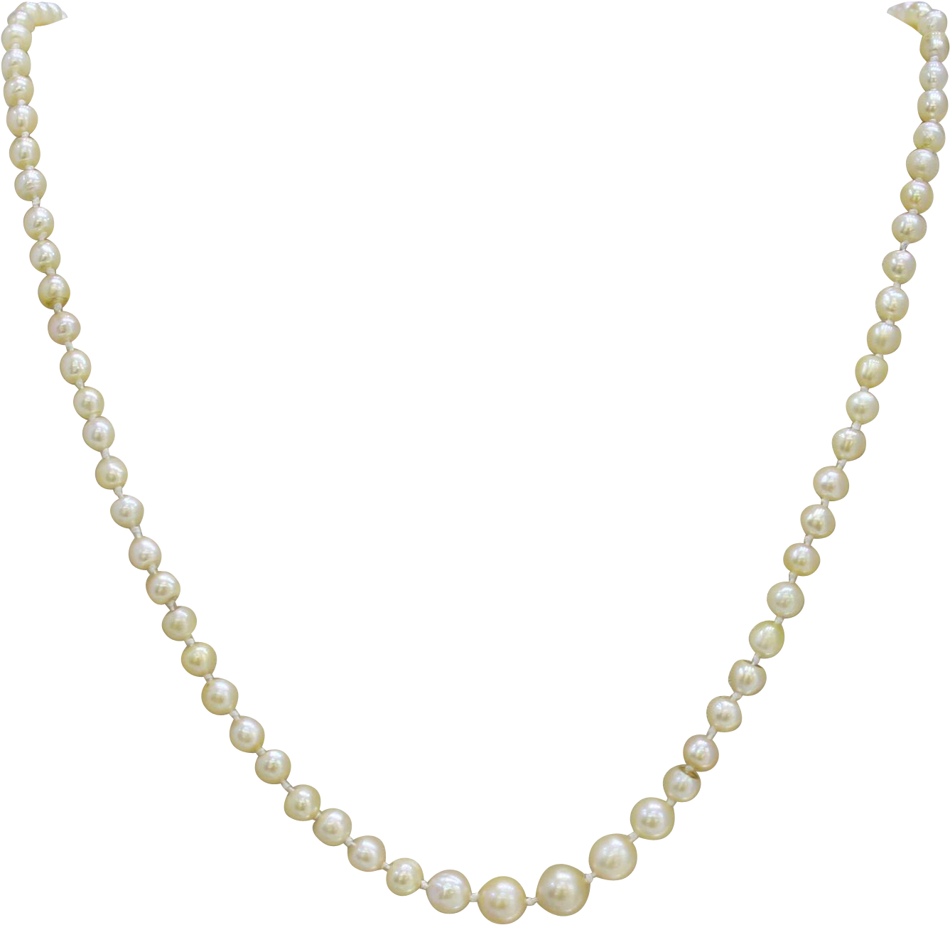 Strand Of Pearls Necklace - Gold Twisted Chain Necklace (1336x1336), Png Download