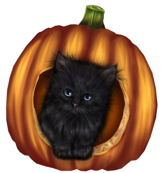 Tube Halloween Chat Spooky Scary, Creepy, Magic Spells, - Domestic Long-haired Cat (600x560), Png Download