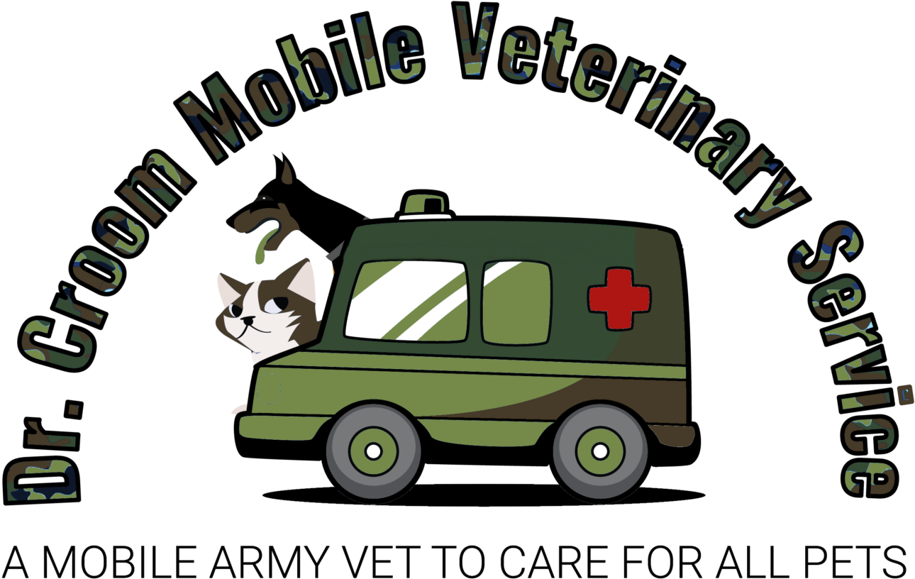 Croom Mobile Vet - Compact Van (1548x1140), Png Download