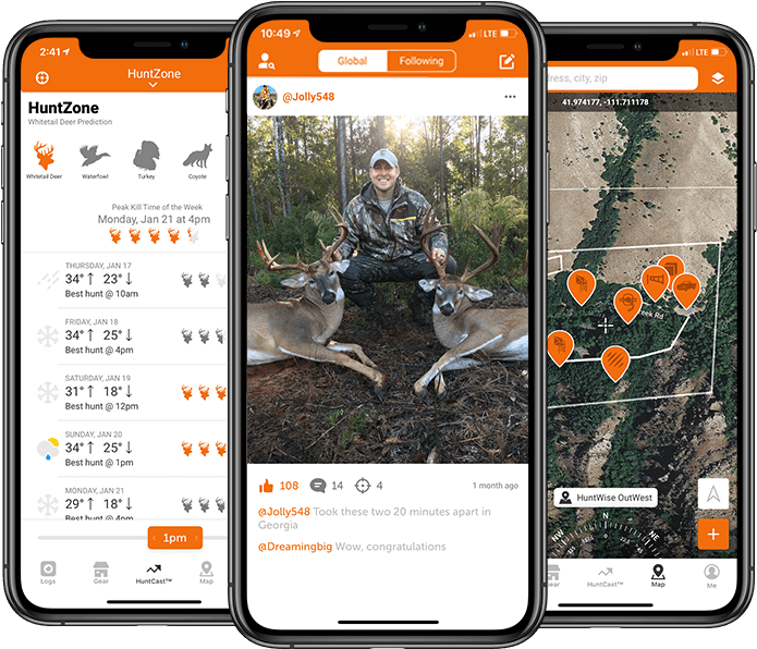 Ui Specieswhitetail - Bear (800x600), Png Download