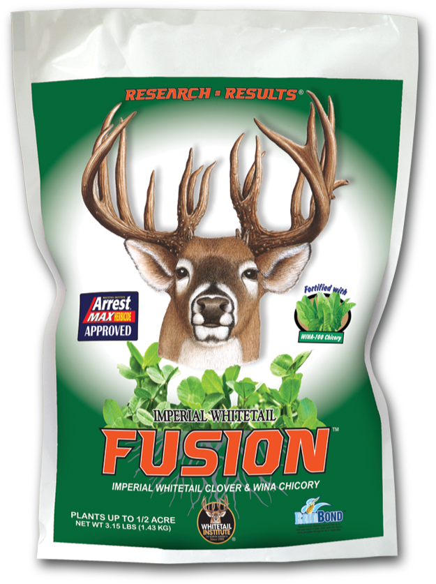 Categories - Whitetail Institute Imperial Chicory (625x837), Png Download