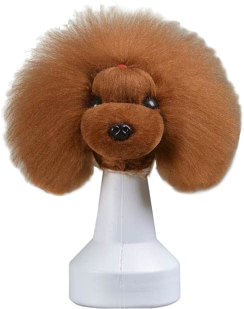 Head Mannequin With Set Of 3 Replacement Head Hair - Stuffed Toy (666x1000), Png Download