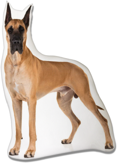 Great Dane (515x600), Png Download