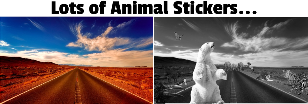 Adding Animal To A Image Edit Here - Dirt Road (1023x364), Png Download