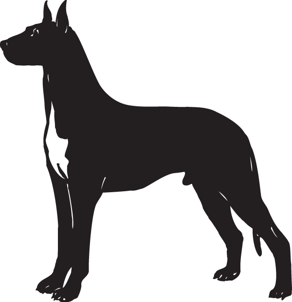 Great Dane Silhouette Png Full Size Png Download Seekpng