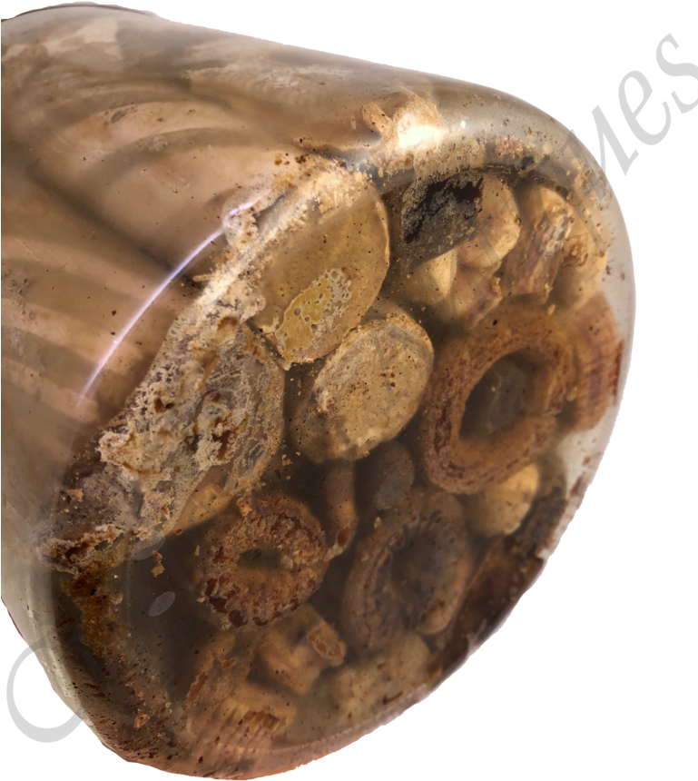 Antique 19thc Desiccated Victorian Christmas Candy - Artifact (768x1024), Png Download