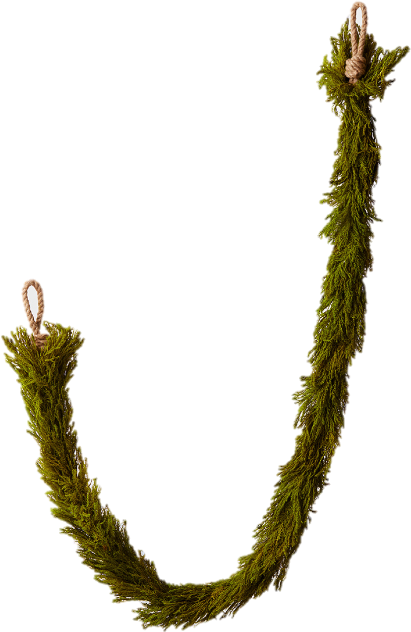 Free Shipping * On All Orders - Necklace (975x1331), Png Download